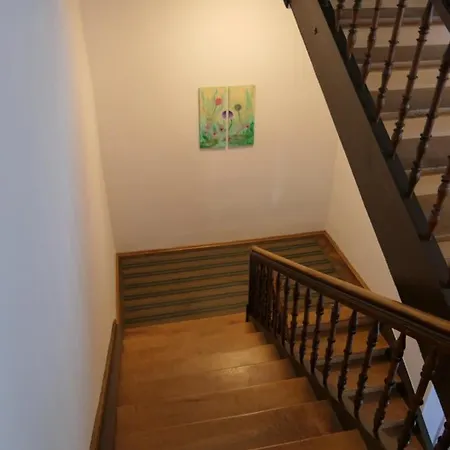 Historische Im Herzen Rankweils Gæstehus